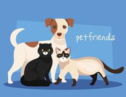 grupo de perros con iconos de gatos vector