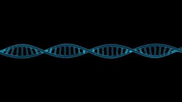 DNA solido 3D per la ricerca medica video
