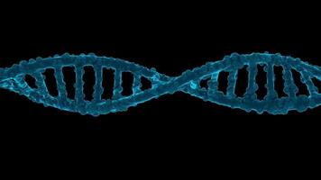 ADN en gros plan en 3D pour la recherche médicale video