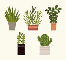 set potted plants vector