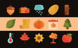 autumn season weather acorn apple pumpkin flower icons set vector