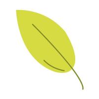 leaf icon isolated vector design