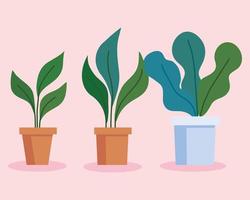 collection, house pot plants nature icons vector
