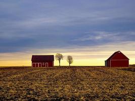 The red barns. photo