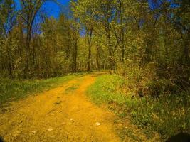 un camino hacia el bosque. foto