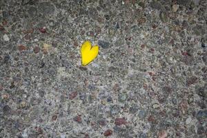 Corazón de pétalos amarillos acostado sobre una carretera pavimentada con piedras de colores foto