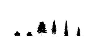 Conjunto de árboles y arbustos en blanco y negro aislado sobre fondo blanco.