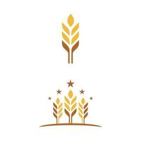 Agriculture wheat vector icon design