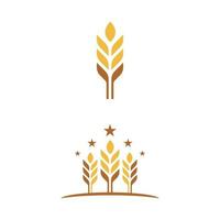 Agriculture wheat vector icon design