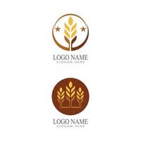 Agriculture wheat vector icon design