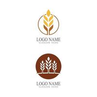 Agriculture wheat vector icon design