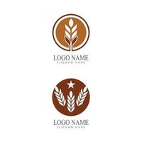 Agriculture wheat vector icon design