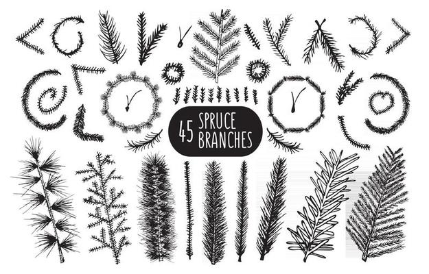 Set of 45 hand drawn spruce branches Christmas Trees and wreaths.