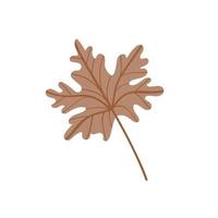 A fallen maple leaf.Autumn foliage. Vector illustration.