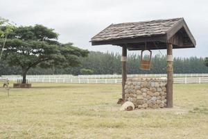 bien en una granja foto