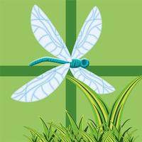 libélula en follaje de hierba vector
