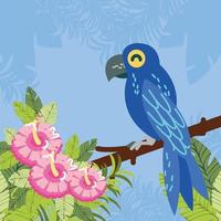 parrot in the flower and branch vector