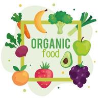 banner with organic food, fruits and vegetables, concept healthy food vector