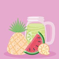 summer lemonade and fruits vector