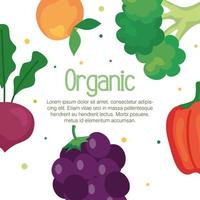 banner of fruits and vegetables organic, concept healthy food vector