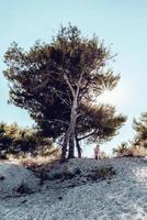 A sad woman next to the dead tree. A sad and worried blonde woman sitting next to the half-dead pine tree on the rocky ground. photo