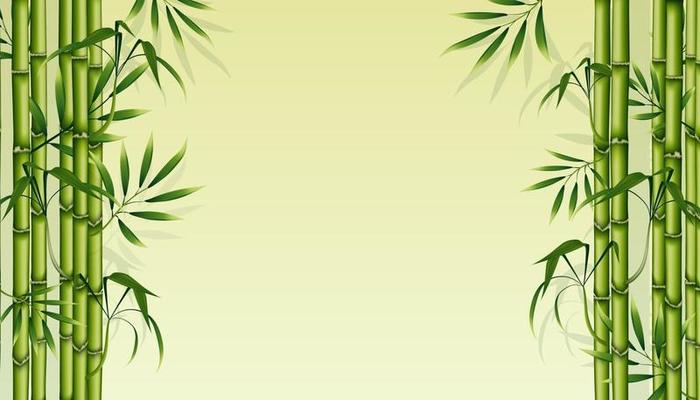 Bamboo background cheap
