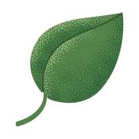 green leaf nature vector