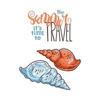 Vector sketching illustrations. Different types of seashells.