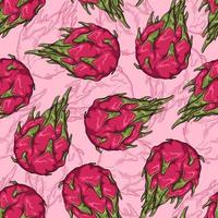 Vector pattern of dragon fruit. Isolated objects for your design.