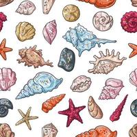 Vector sketching illustrations. Seamless pattern of seashells.