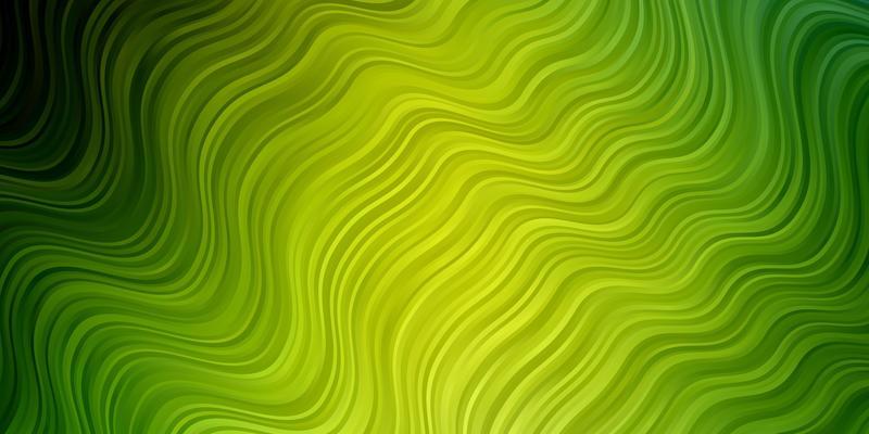 Light Green Yellow vector texture with wry lines Colorful geometric sample with gradient curves Smart design for your promotions
