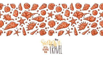 Vector sketching illustrations. Different types of seashells.