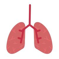 human lungs organ vector