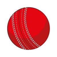 ball for cricket vector