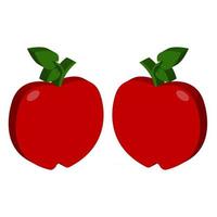 Apple Illustrated In Vector