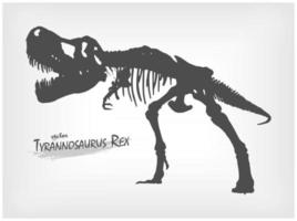 Tyrannosaurus rex esqueleto silueta sobre fondo gris degradado. vector. vector