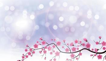 Glossy Spring Background with Sakura Flowers vector