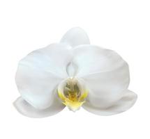 flor de orquídea 3d realista aislado en blanco vector