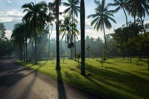 la naturaleza en el templo de borobudur son una forma de yogyakarta foto