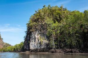 Tour de manglares en kilim karst geoforest en langkawi foto