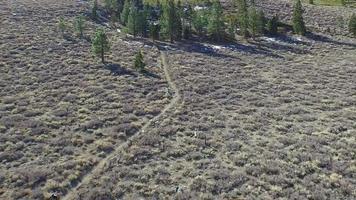 Aerial shot of young man mountain biking on scenic trail in the mountains. video