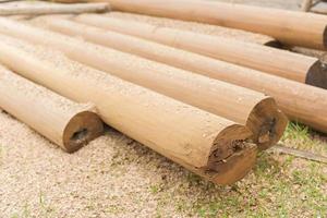 Wood pole for building structure photo