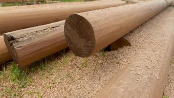 Wood pole for building structure photo