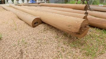 Wood pole for building structure photo