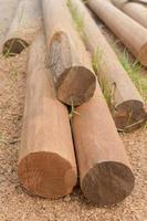 Wood pole for building structure photo