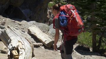 en ung man som vandrar med en ryggsäck på en bergspår. video