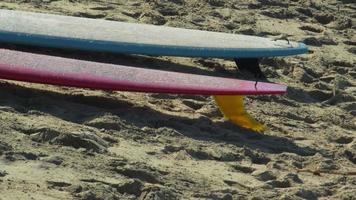 planches de longboard sur la plage. video