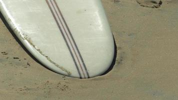 longboard surfplanken op het strand. video