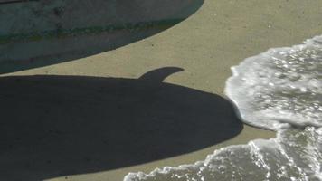 l'ombre d'une planche de surf longboard et son aileron sur la plage. video