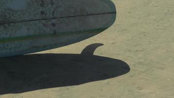 de schaduw van een longboard-surfplank en zijn vin op het strand. video